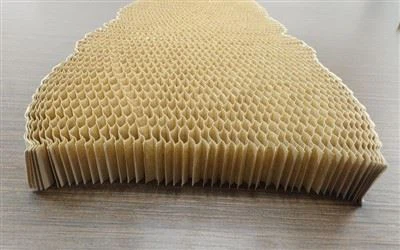 Thảm giấy Honeycomb 3d